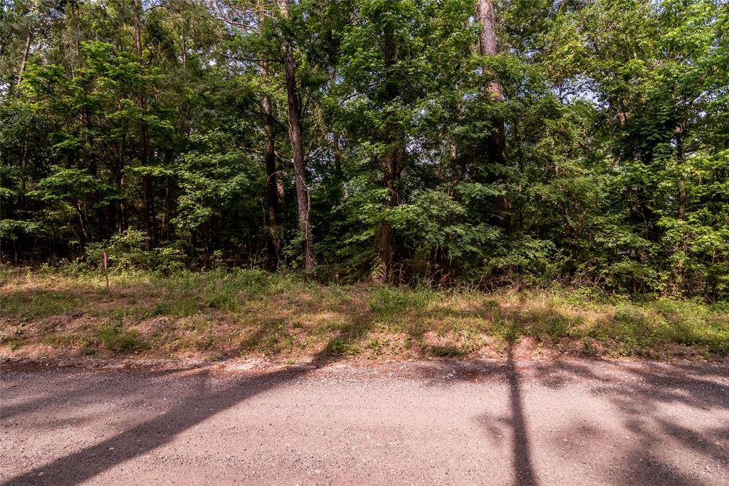 Coldspring, TX 77331,Lot 181 Morris Creek RD