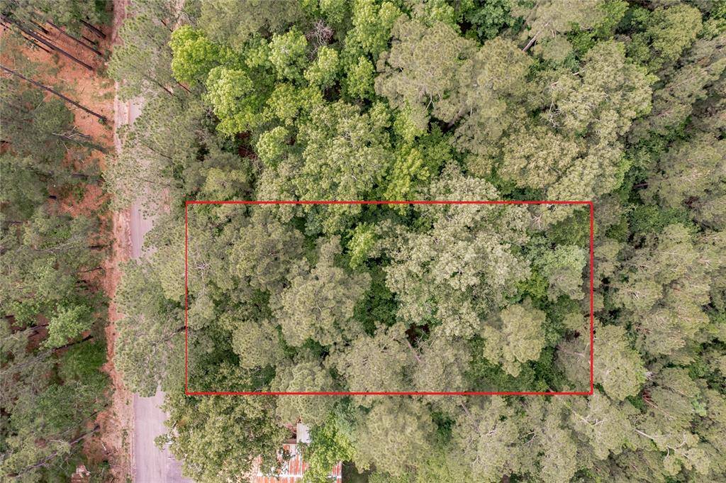 Coldspring, TX 77331,Lot 181 Morris Creek RD