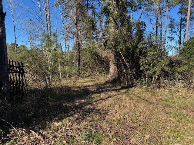 Willis, TX 77378,11165 W lake Dr