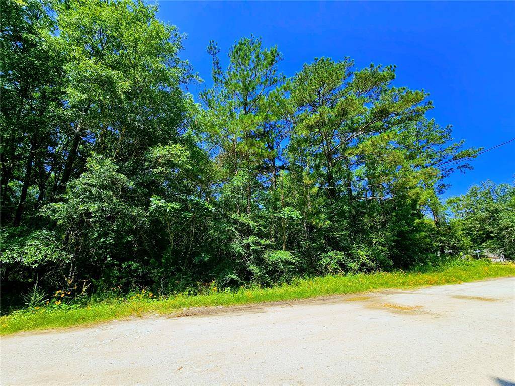 Livingston, TX 77351,TBD Lot 115 Brackenridge