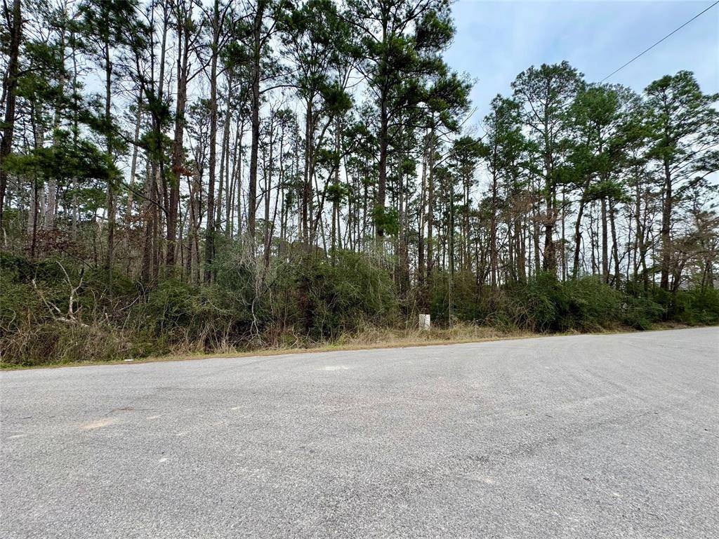 Onalaska, TX 77360,LOT 107 Whisperwood DR