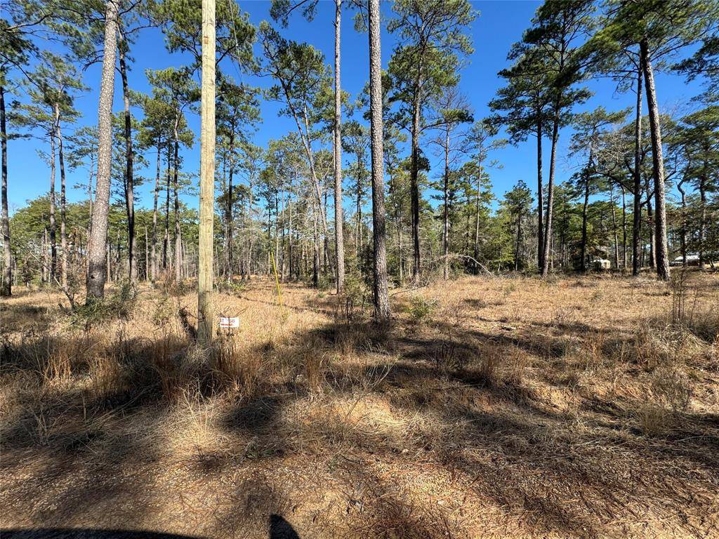 Brookeland, TX 75931,TBD Private Rd 6028