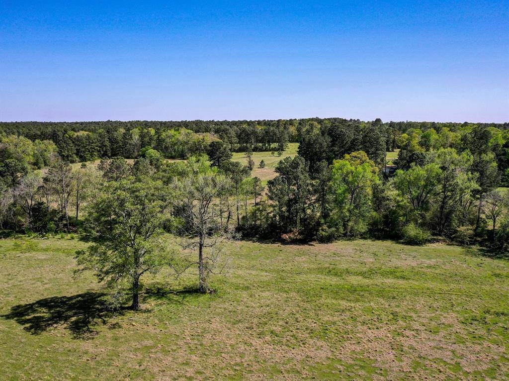 Huntsville, TX 77340,11 Acres Black Jack Rd