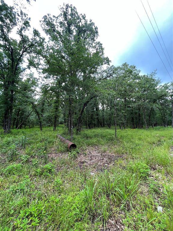 Bedias, TX 77831,11ac Birdwell RD