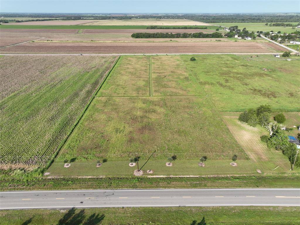 Beasley, TX 77417,000 Fm-2919 Lot 1