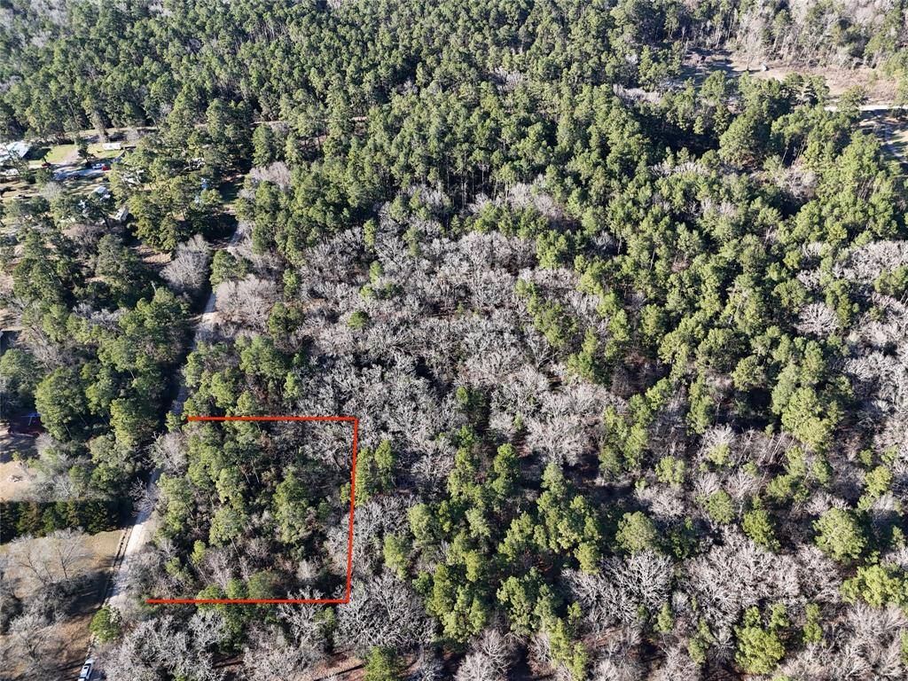 Trinity, TX 75862,TBD Watson RD