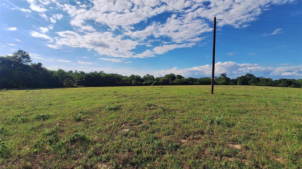 Washington, TX 77880,18081 Wellmann RD