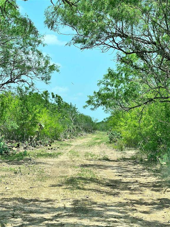 Alice, TX 78372,301.60 Acres CR 144