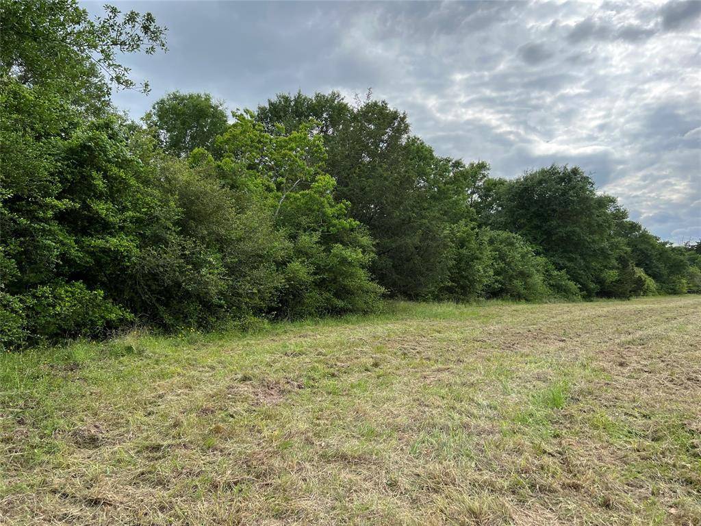 Columbus, TX 78934,2 Acres FM 109