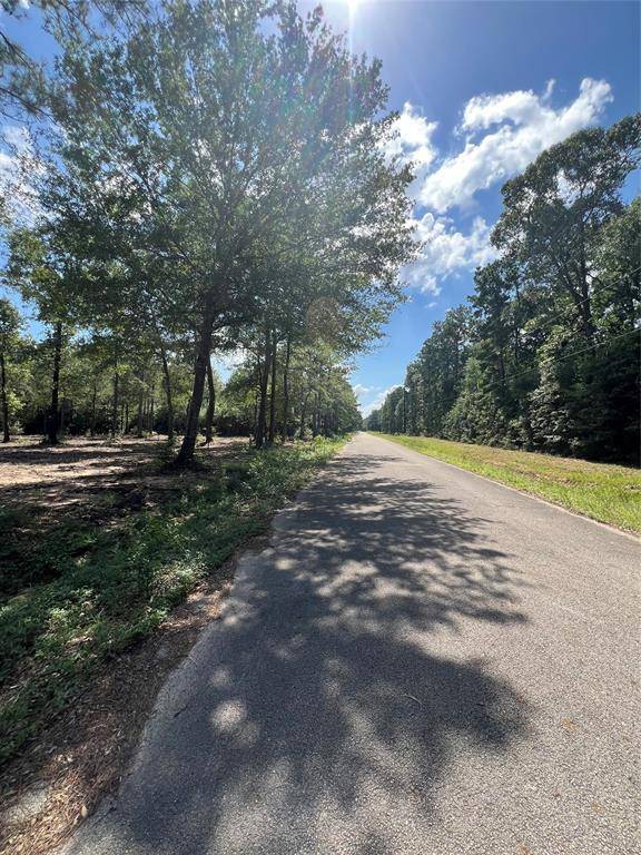 Plantersville, TX 77363,TBD Lot 3 Deerwood DR