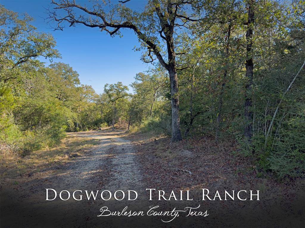 Caldwell, TX 77836,10429 County Road 313