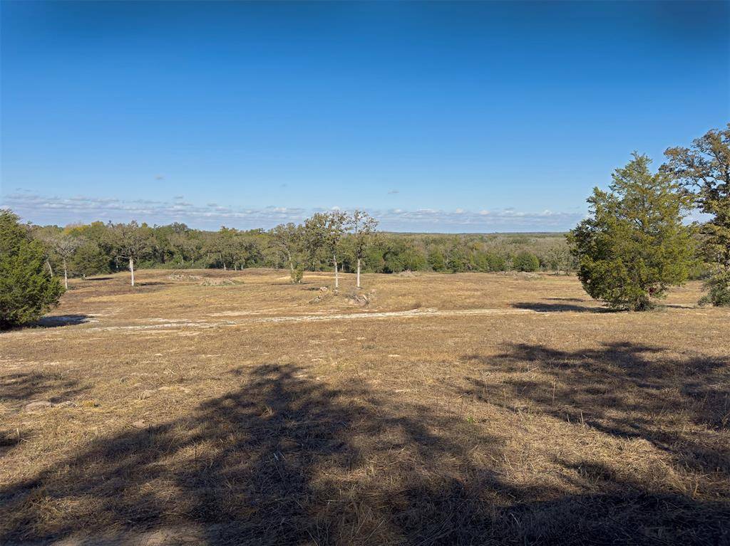 Caldwell, TX 77836,10429 County Road 313