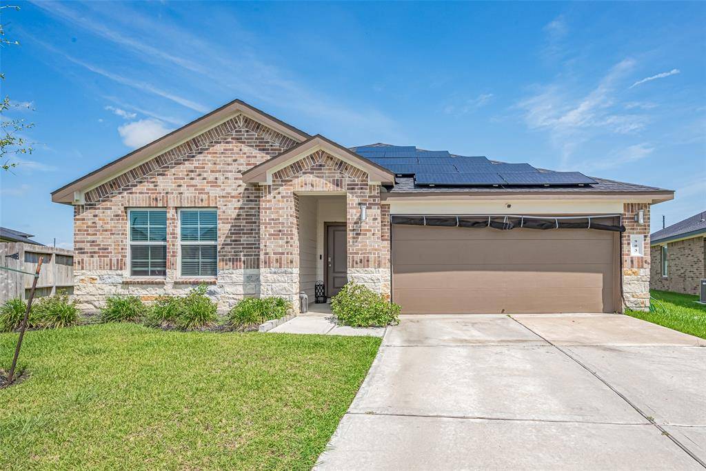 Rosharon, TX 77583,903 Curly Angora CT