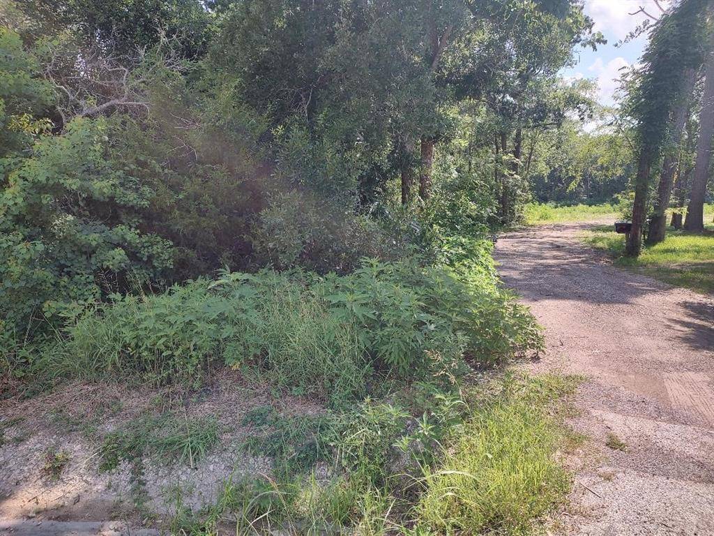 Friendswood, TX 77546,Lot 1 Deepwood