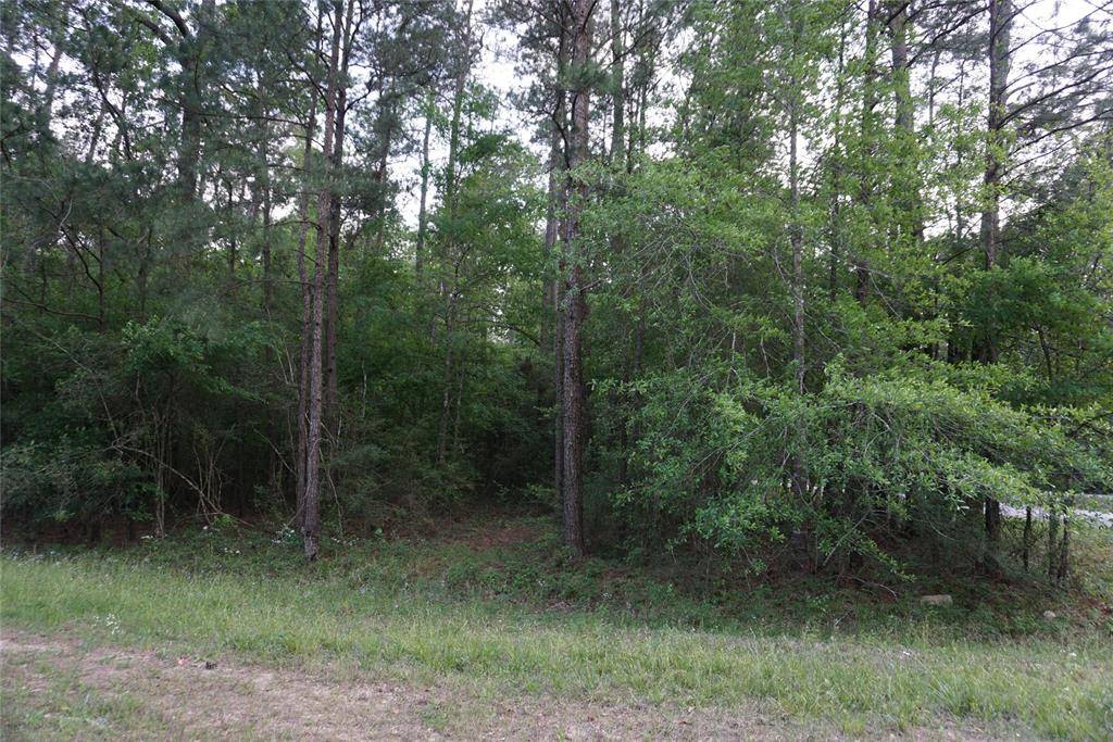 Roman Forest, TX 77357,000 Appian Way