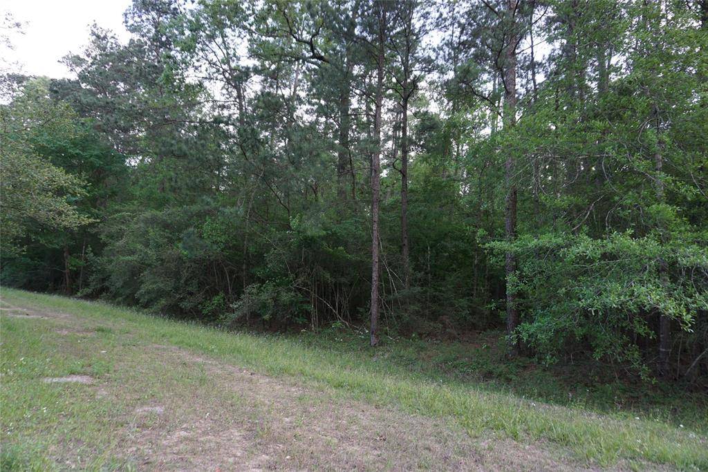 Roman Forest, TX 77357,000 Appian Way