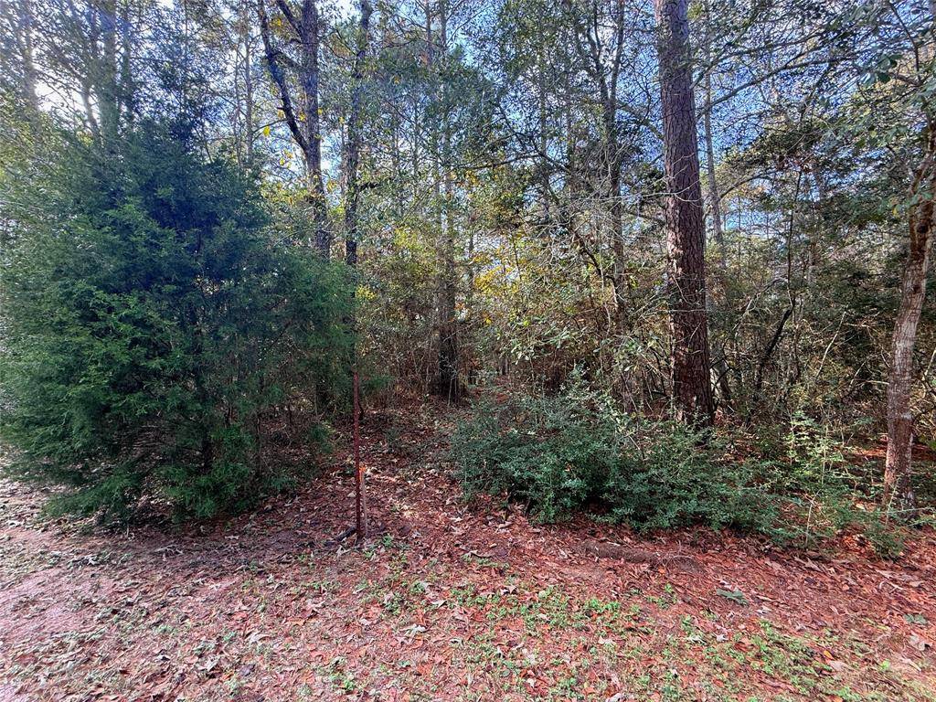 Plantersville, TX 77363,0 Serendipity TRL
