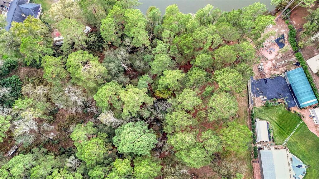 Magnolia, TX 77355,0 Mink Lake Dr