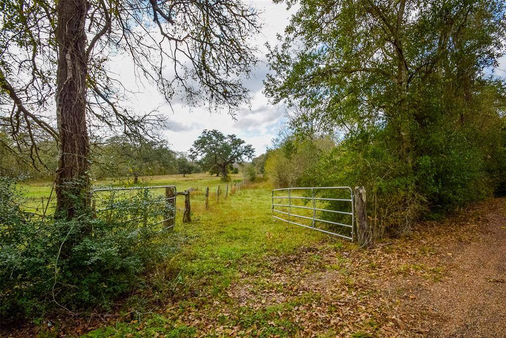 Schulenburg, TX 78956,001 Krischke RD