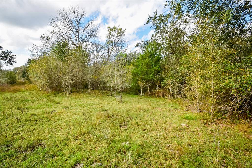 Schulenburg, TX 78956,001 Krischke RD