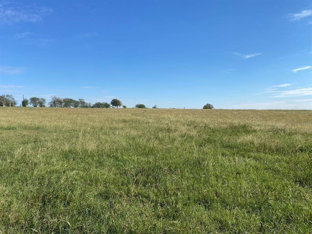 Chappell Hill, TX 77426,Lot 2 Chadwick Hogan RD