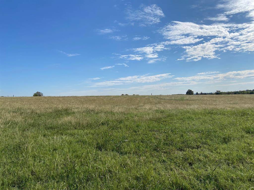 Chappell Hill, TX 77426,Lot 2 Chadwick Hogan RD