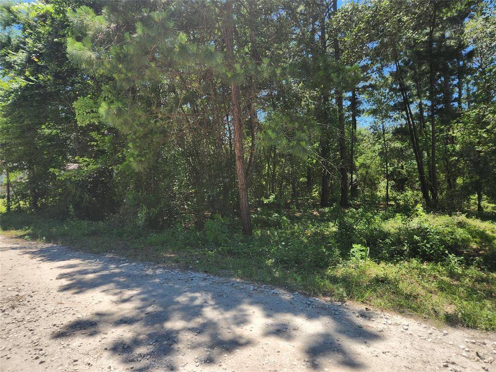 Plantersville, TX 77363,Lot 30 Mossyknoll DR