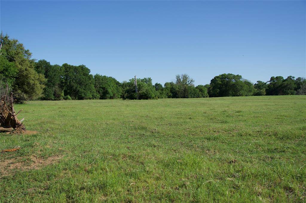 Paige, TX 78659,TBD Tract 10 St Delight RD