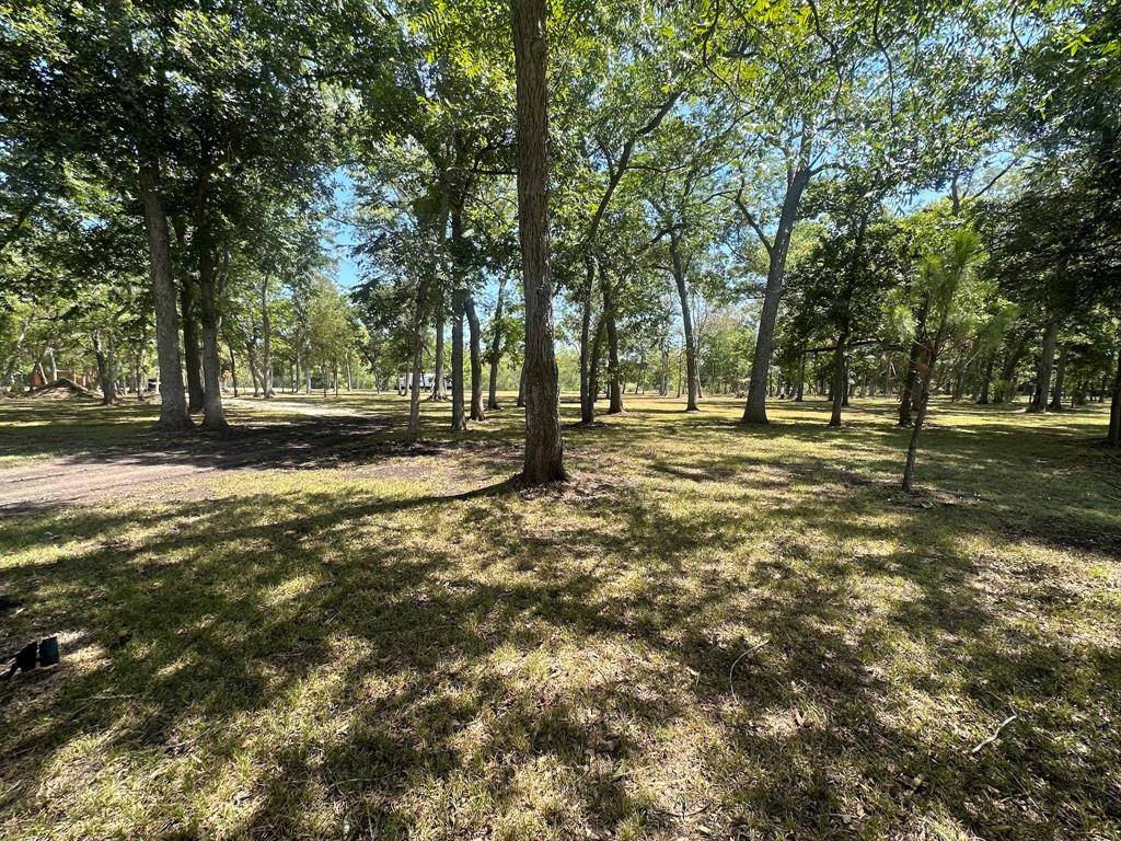 Needville, TX 77461,0 Laguna TRL