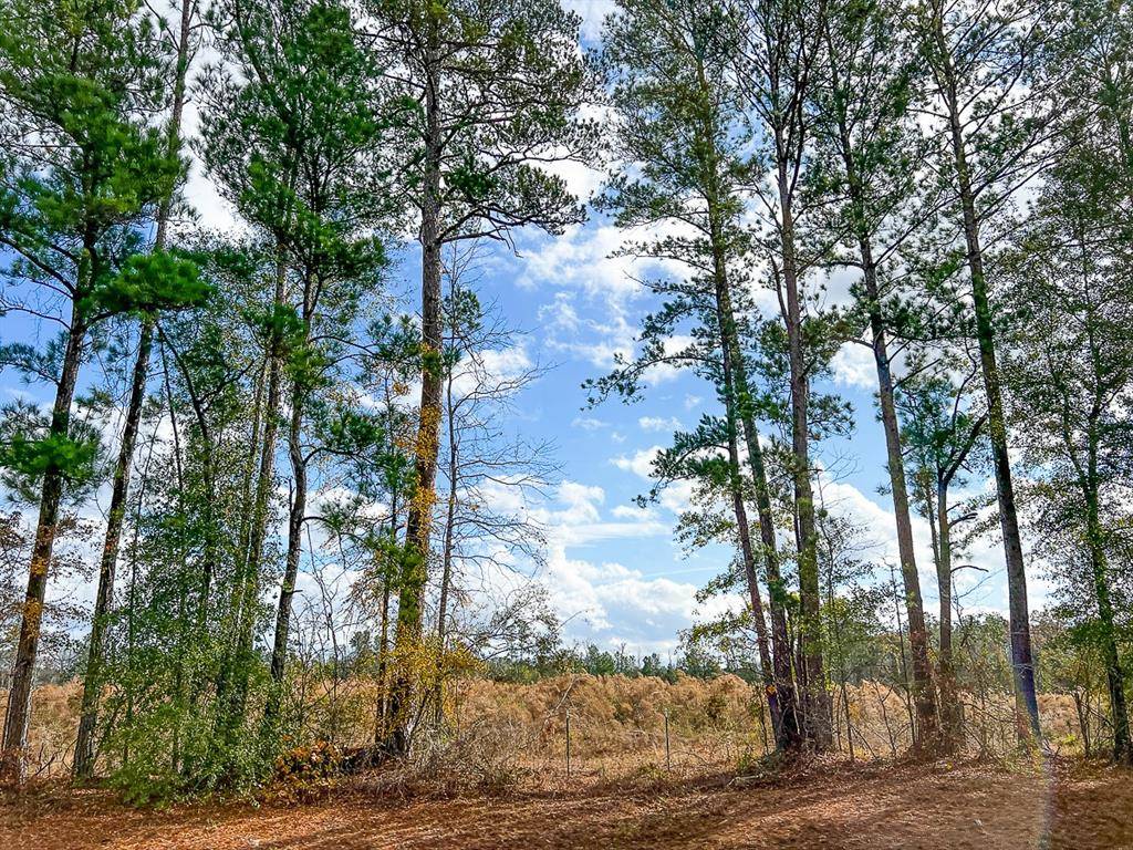 Oakhurst, TX 77359,3 FM 980