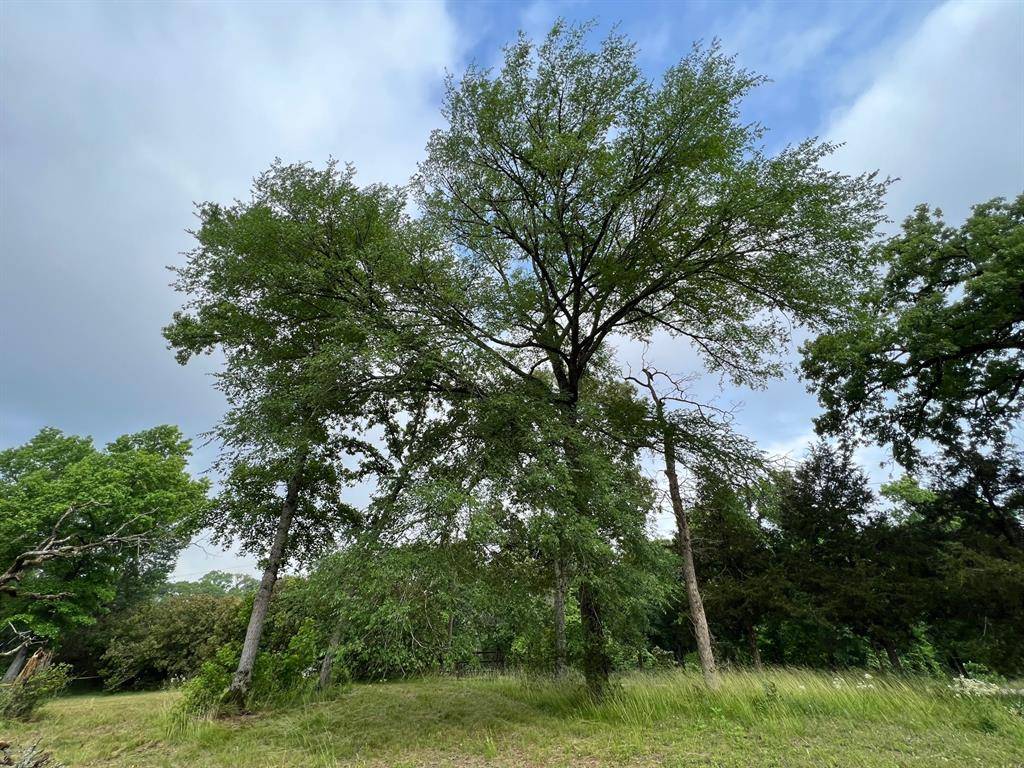 Centerville, TX 75833,1 ac Highway 7 East