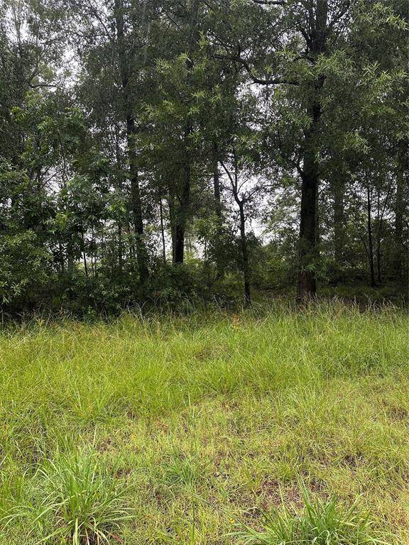Livingston, TX 77351,258 Vine Arbor DR