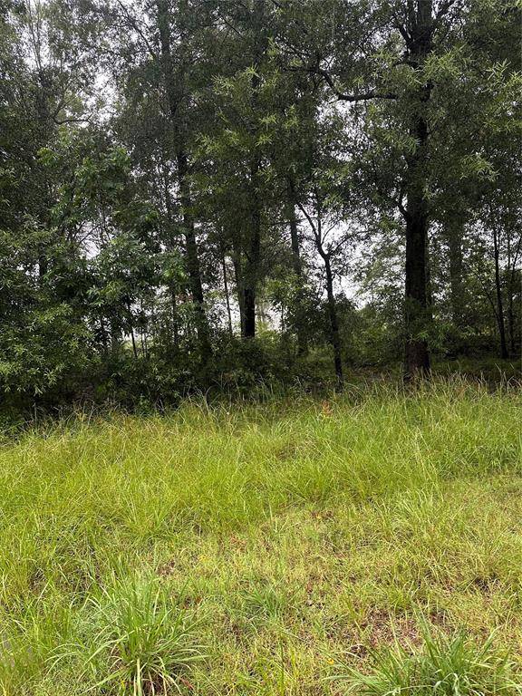 Livingston, TX 77351,258 Vine Arbor DR