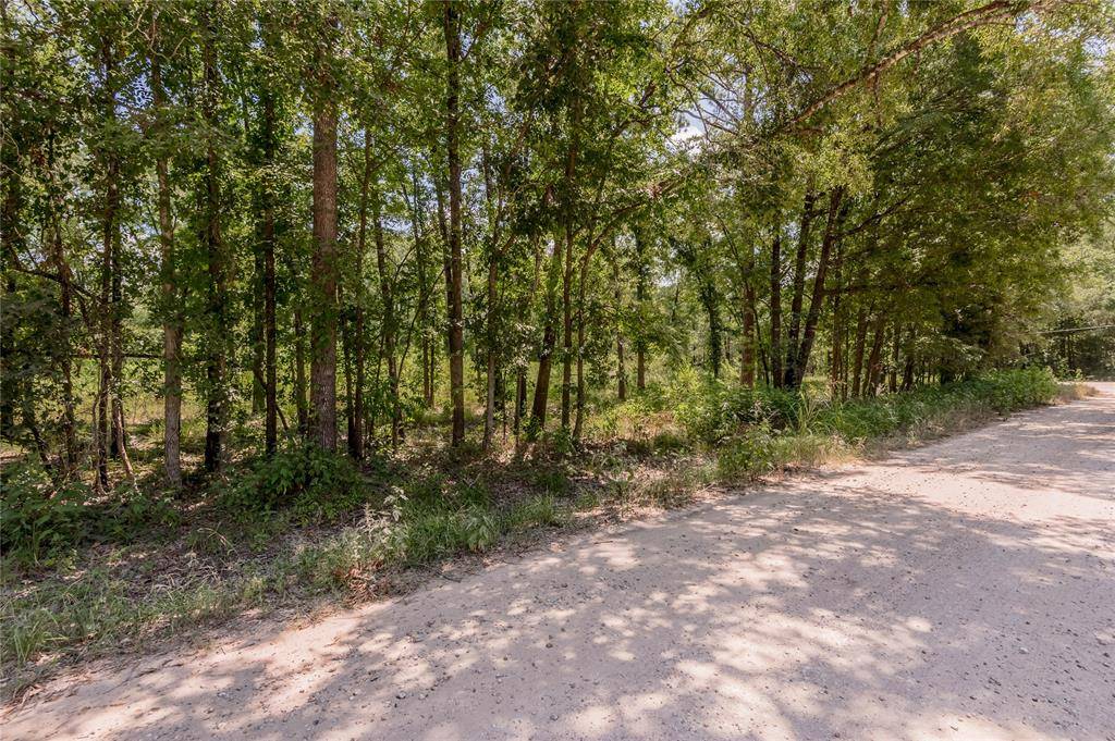 Livingston, TX 77351,Lot 140 Star Dust DR