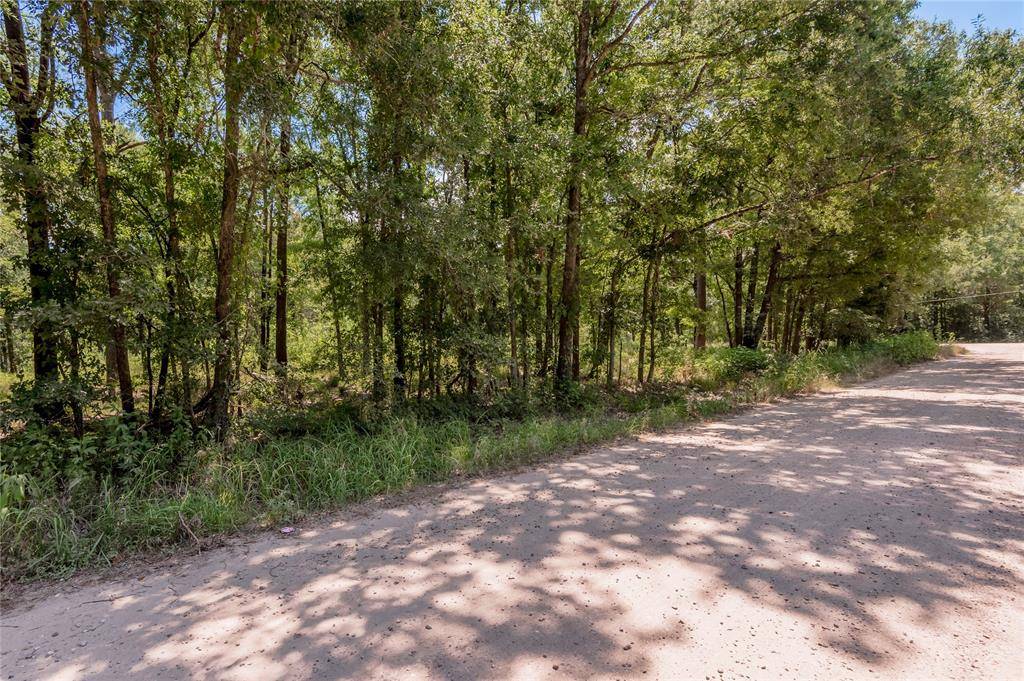 Livingston, TX 77351,Lot 140 Star Dust DR