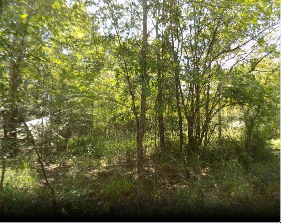 Trinity, TX 75862,0 Winding Creek Dr