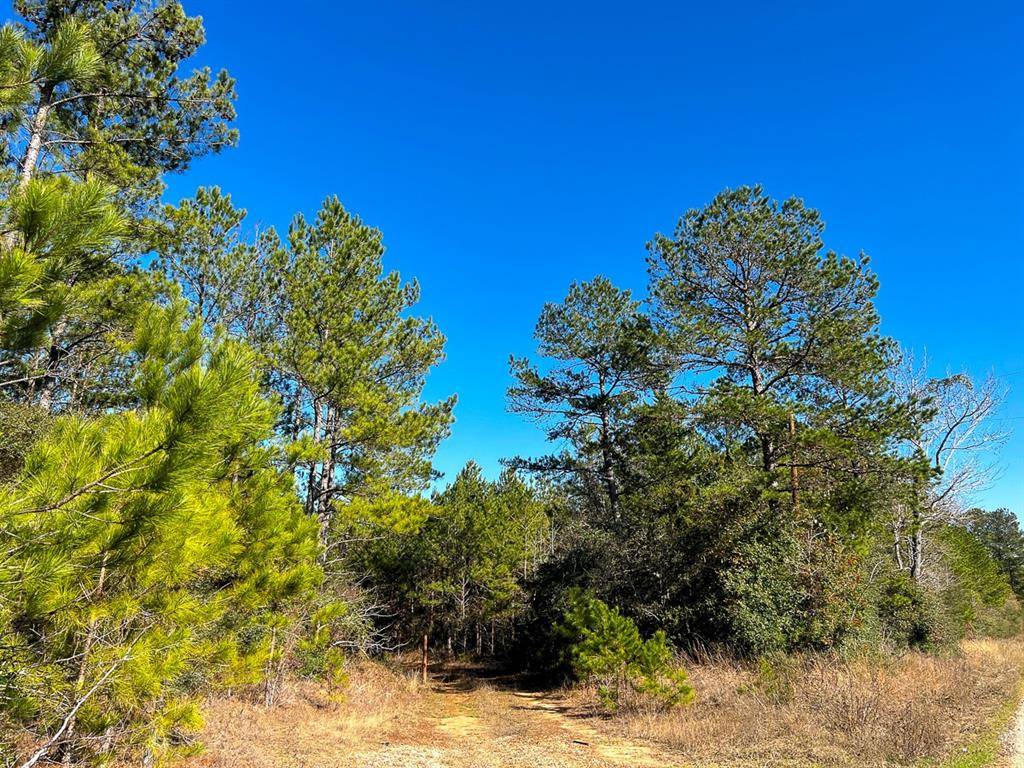 Livingston, TX 77351,09 Nettles Cemetery Road