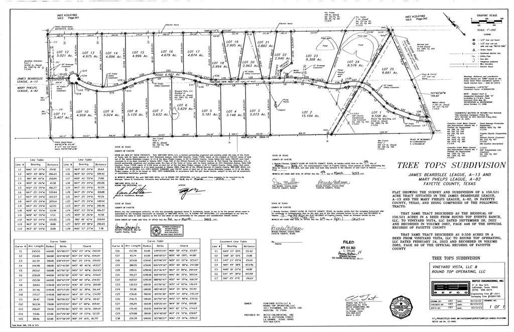 Carmine, TX 78932,535 Vineyard View TRL