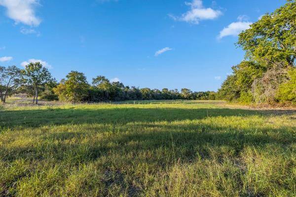 Round Top, TX 78954,TBD Wendy Lane - Lot 19