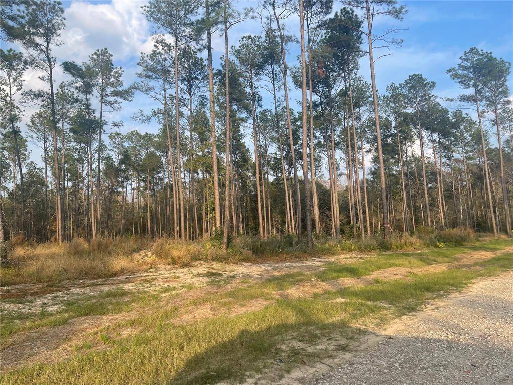 Livingston, TX 77351,000 Rolling Pines