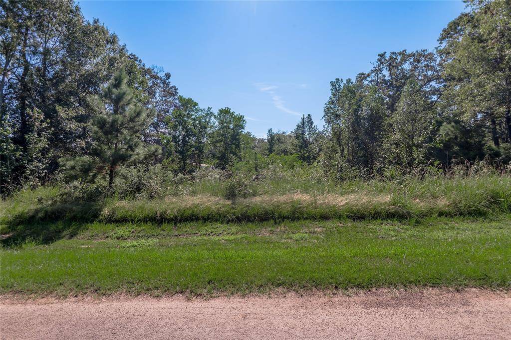 Point Blank, TX 77364,Lot 390-391 Willow Oak LN