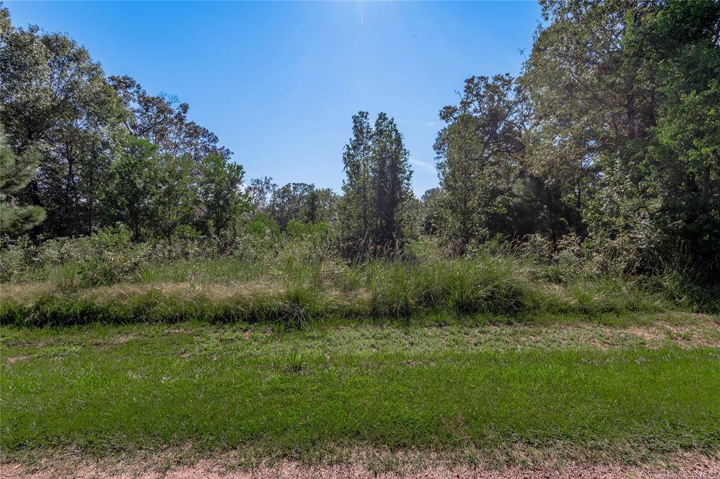 Point Blank, TX 77364,Lot 390-391 Willow Oak LN