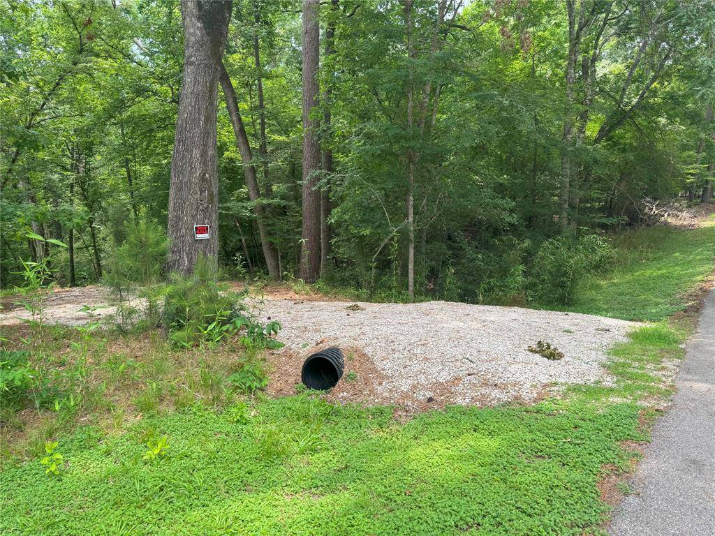 Coldspring, TX 77331,77 S Pine Harbour DR