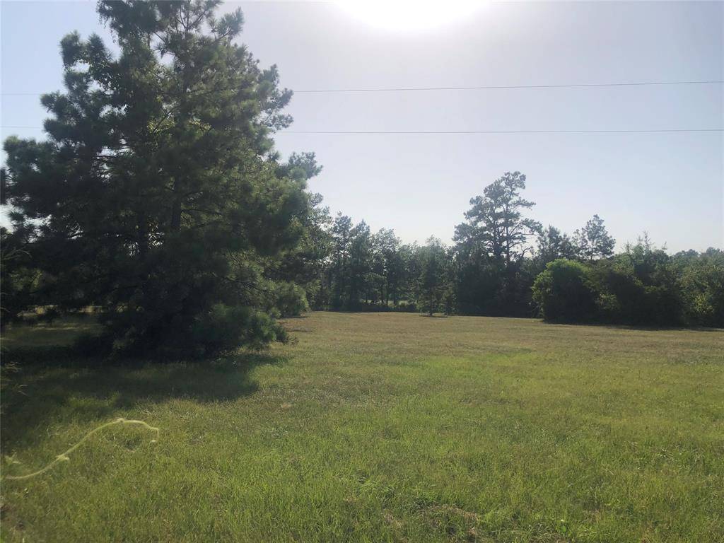 Lovelady, TX 75851,TBD CR 3575