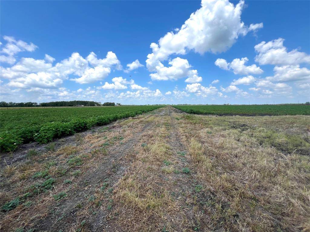 Damon, TX 77430,1 Rycade Road