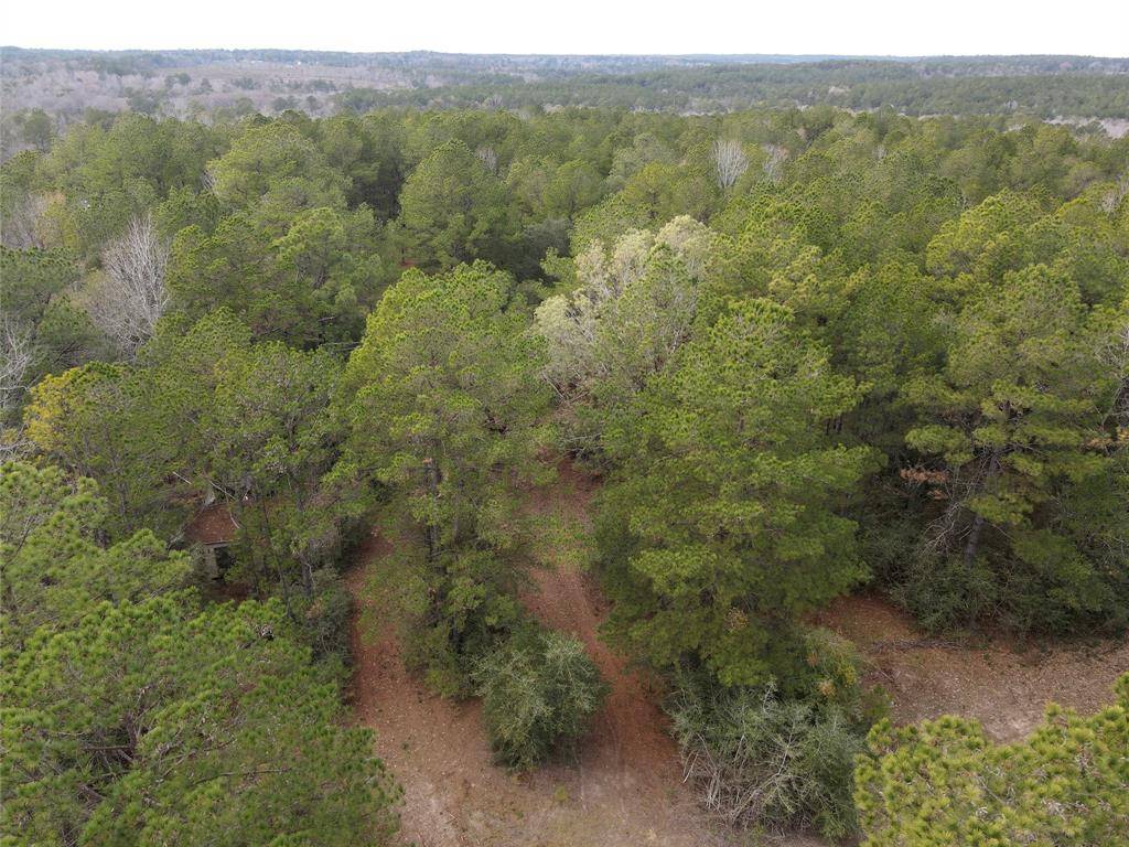 Colmesneil, TX 75938,TBD County Road 3260