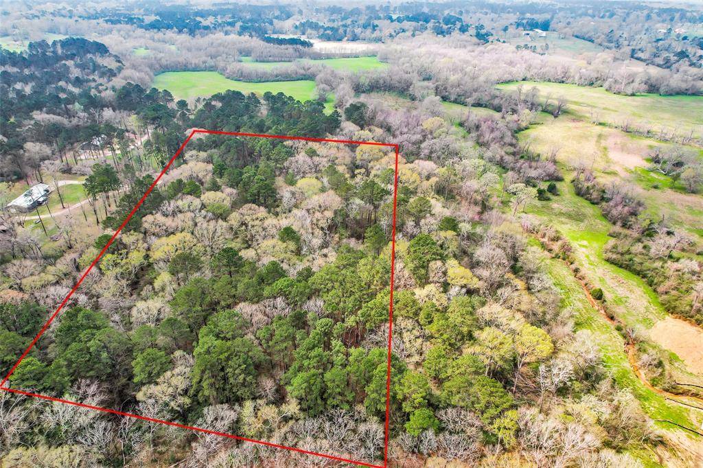 Willis, TX 77378,TBD Bilnoski Rd
