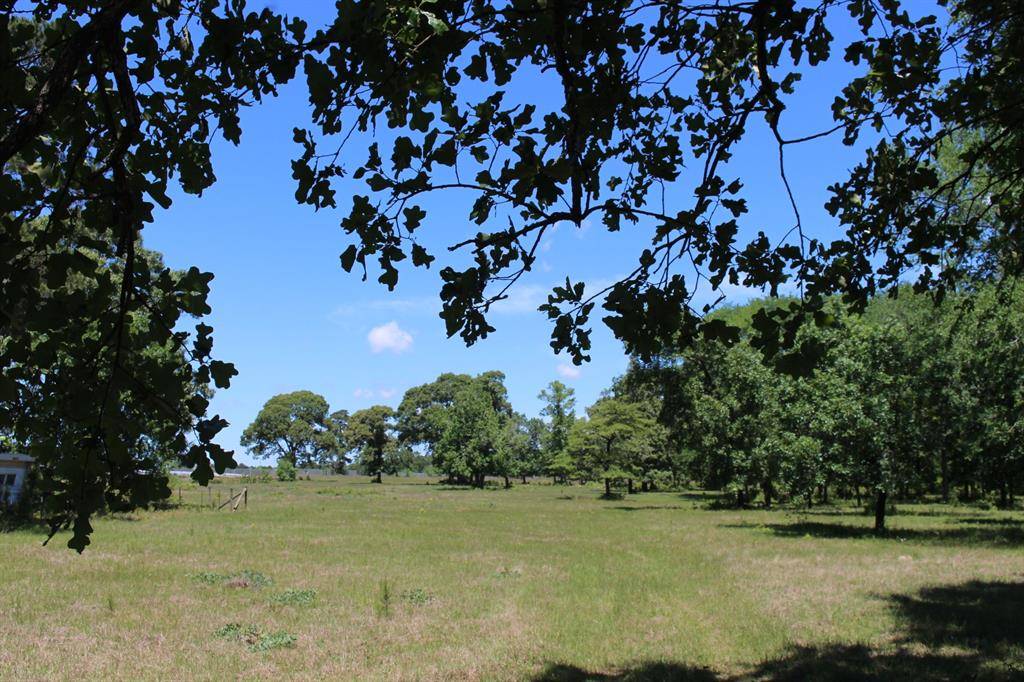 Montgomery, TX 77316,19202 Keenan Cutoff RD