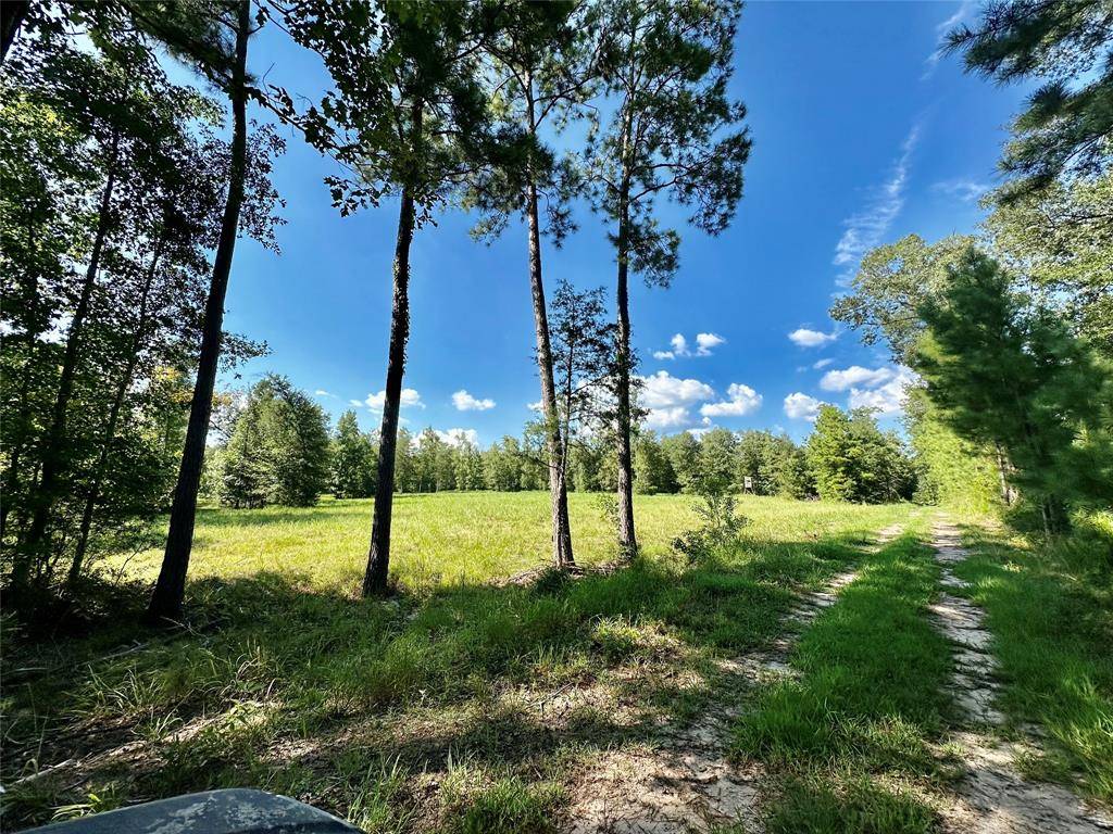 Moscow, TX 75960,3247 Old Berring Rd