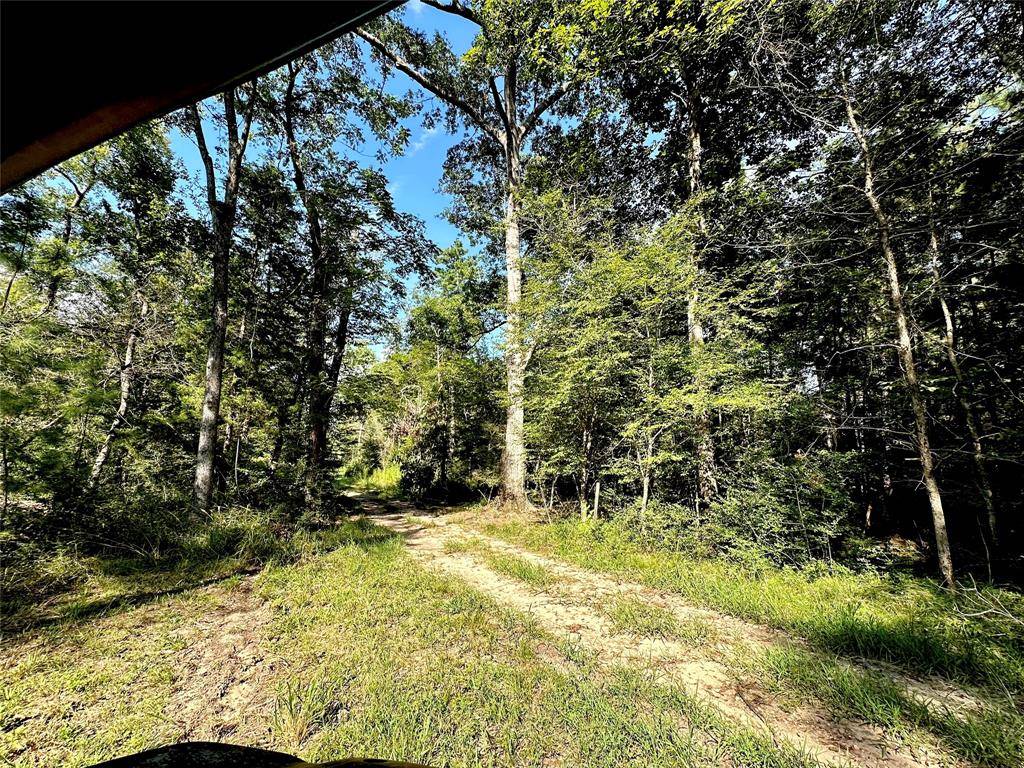 Moscow, TX 75960,3247 Old Berring Rd